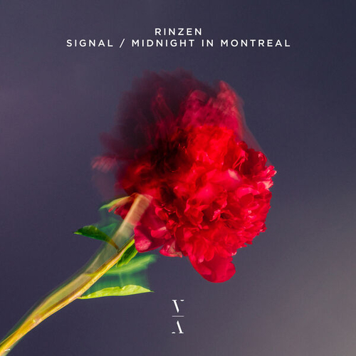 Rinzen - Signal, Midnight in Montreal